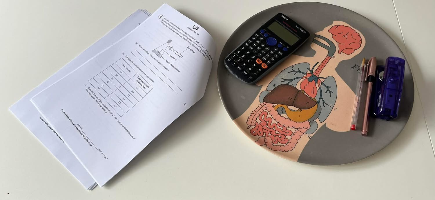 Tutoring workshop in Sale: exam paper, calculator and anatomy diagram on a desk